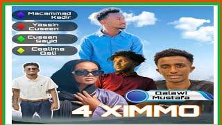 Affara Ximmo(4Point) new Afar short drama