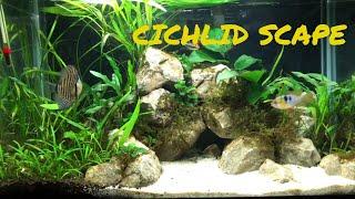 Cichlid Scape | Cichlid Scaping