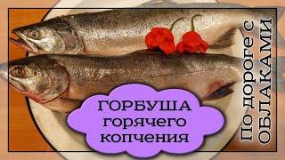 Как коптить рыбу. Горбуша горячего копчения. How to smoke fish. Hot smoked pink salmon.