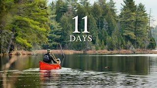 11-Day Solo Wilderness Survival Trip | Low Food, Trout Fishing
