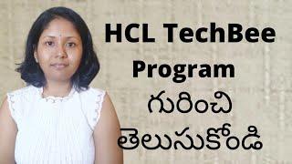 What is HCL TechBee Program (Telugu) | Pashams