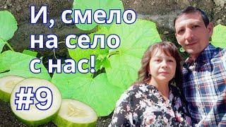 Закъсняхме с краставиците, но първите вече са на мястото си | Живот на село | Боби и Катето