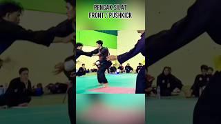 Front Push Kick #tutorial #training #shortsvideo #usa #shortvideo #kick  #ytshort #ytshorts #mma