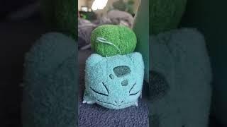 Look At the Little Baby Bulbasaur #bulbasaur #pokemon