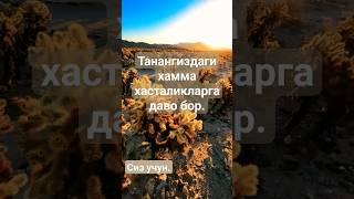 хамма дардга даво #islom #kuran #motivation #quran