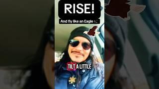 RISE!..and fly like an eagle  #rise #high #light #message #mintakan #starseed #panchopantera7