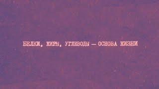 2.1 Белки, жиры, углеводы — основа жизни | Химия вокруг нас