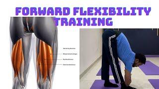 Forward Flexibility Training/Hamstring Muscles Exercises/Glutes Opening Practice - Yoga Saathi Video