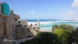 ABRASHA PARK, JAFFA. Very Strong WIND