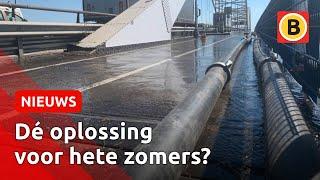 Hittegevoelige Merwedebrug centimeter ingekort | Omroep Brabant