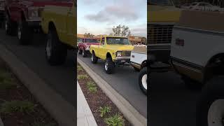 What a lineup! 67-72 Chevy trucks! #chevy #cali #shorts #trending