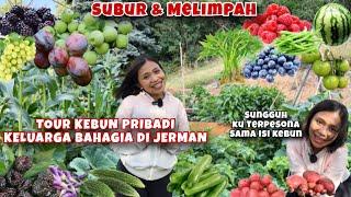 TOUR KEBUN PRIBADI KELUARGA BAHAGIA DI JERMAN, SUBUR DAN MELIMPAHH