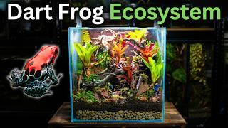 I Made An Ecosystem For Poison Dart Frogs, Here's How!