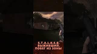 КУДА ТЫ ПОБЕЖАЛ?СТАЛКЕР #shorts #сталкер #моды #мод