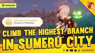 Highest Branch in Sumeru City Achievement