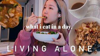 Living Alone In NYC | what I eat in a day, easy healthy recipes for lazy single people