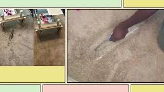 Carpet Cleaning