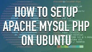 How to setup Apache, MySql, and PHP on Ubuntu Linux