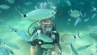 scuba diving in Kemer