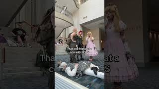 Then security yells at me for being in the way 