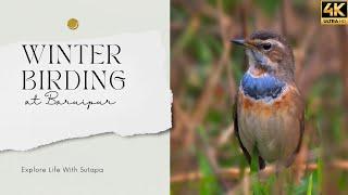 Winter Birding at Baruipur | Weekend Birding around Kolkata