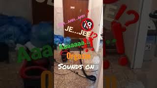 natural orgasm (FEMALE) 27.05.2023