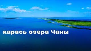 САЗАН. Карась. Путешествие на озеро ЧАНЫ