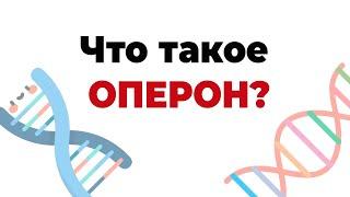 ГЕН и ОПЕРОН. Как работает лактозный оперон?