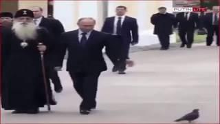 Russian Secret Service Pigeon SALUTES Vladimir Putin