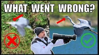 Most bird photography fails. Here are the secrets to fix the problem!