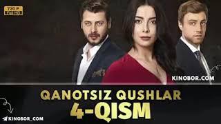 QANOTSIZ QUSHLAR 4 QISM UZBEK TILIDA // КАНОТСИЗ КУШЛАР 4 КИСМ УЗБЕК ТИЛИДА 4 5 Qanotsiz qushlar