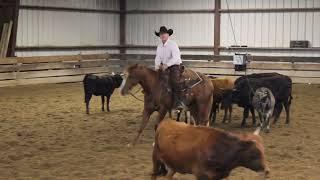 Easter Lilly - Dry Creek Ranch af Andy Christensen Cutting Horses 2024