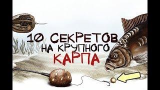 10 секретов поимки крупного карпа!