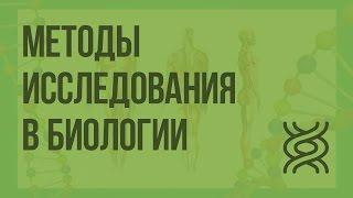 Методы исследования в биологии. Видеоурок по биологии 10 класс