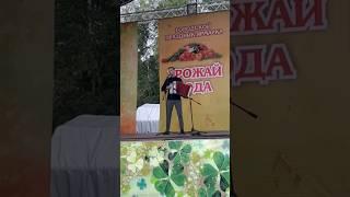 Сергей Новоселов - Верила, верила, верю. Под гармонь. #2024 #россия #гармонь #песня #shorts