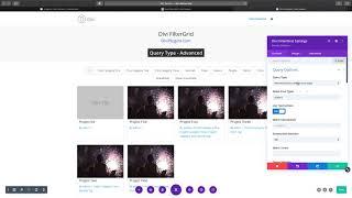 Divi FilterGrid - Advanced Query Type
