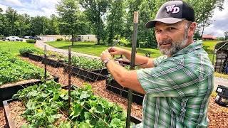 Cheap Garden Idea for Ya'll | Learn to Feed Yourself Before it's too Late!