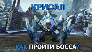 Dungeon & Heroes КРИОАП. Кем проходить БОССА и как его победить? Каким составом его проходил Лис?