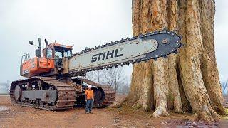 Extreme Dangerous Fastest Big Chainsaw Cutting Tree Machines | Monster Stump Removal Excavator #8