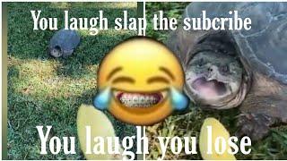 You laugh you lose | part 1 | NotTube