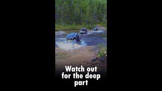 Water Crossing Deeper Than Expected #Shorts