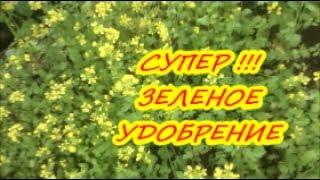 СУПЕР УДОБРЕНИЕ СВОИМИ РУКАМИ -ЗАМЕНА НАВОЗА / Органическое удобрение