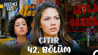 Erkenci Kuş 42. Çıtır Bölüm: Allah'ım Gördüklerimi Sil!