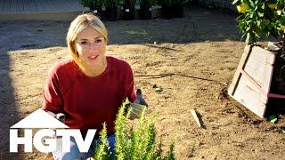 Front Yard Design Tips From Jasmine Roth | Hidden Potential | HGTV