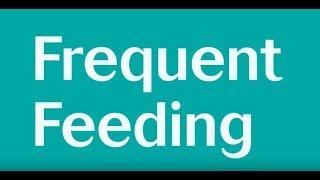 Frequent Feeding