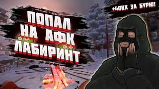 ЗАЛЕТЕЛ НА КФС СЕРВЕР И ПОЕЛ НА 40КК| STALCRAFT X | СК Х|  SC X