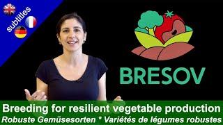 BRESOV - Breeding for Resilient, Efficient and Sustainable Organic Vegetable production
