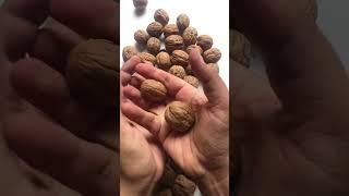 Lot’s of dry fruits | NUTRAJ California Walnuts IN SHELL