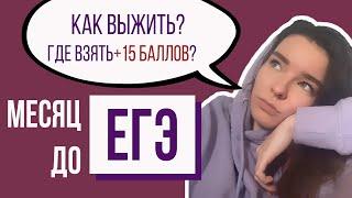 Месяц до ЕГЭ || Что Делать?