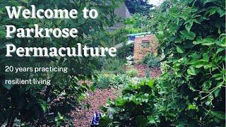 Welcome to Parkrose Permaculture, a 13 Year-old Permaculture Paradise in Oregon
